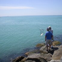 Ingrams & Stones 005