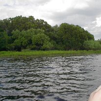 Ingrams & Stones 016