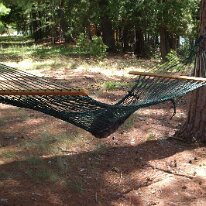 GEDC0071 GE DIGITAL CAMERA