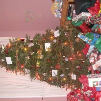 Christmas048 GE DIGITAL CAMERA