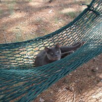 GEDC0072 GE DIGITAL CAMERA