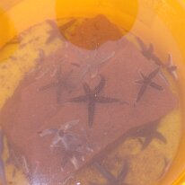 032 (2) GE DIGITAL CAMERA