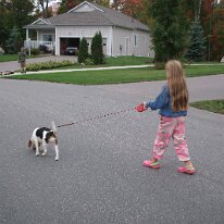 gedc1601 GE DIGITAL CAMERA