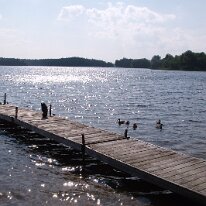 gedc4785 GE DIGITAL CAMERA