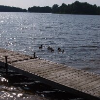 gedc4788 GE DIGITAL CAMERA