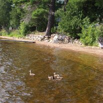 gedc4792 GE DIGITAL CAMERA