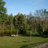 gedc3390 GE DIGITAL CAMERA