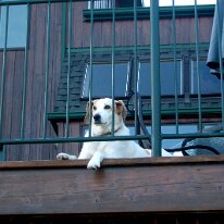 gedc3393 GE DIGITAL CAMERA