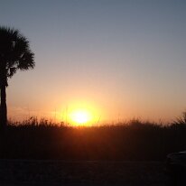 gedc2497 GE DIGITAL CAMERA