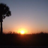 gedc2498 GE DIGITAL CAMERA