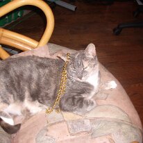 gedc2436 GE DIGITAL CAMERA