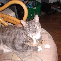 gedc2438 GE DIGITAL CAMERA