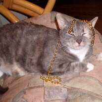 gedc2439 GE DIGITAL CAMERA