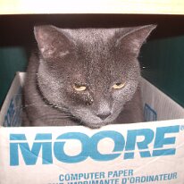 gedc3021 GE DIGITAL CAMERA