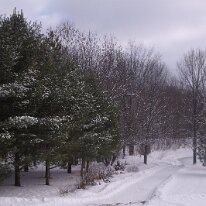 gedc2106 GE DIGITAL CAMERA