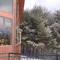 gedc2107 GE DIGITAL CAMERA