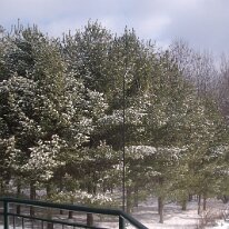 gedc2108 GE DIGITAL CAMERA