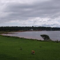 gedc5249 GE DIGITAL CAMERA