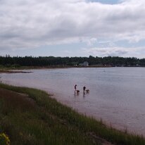 gedc5263 GE DIGITAL CAMERA