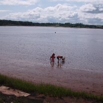 gedc5264 GE DIGITAL CAMERA