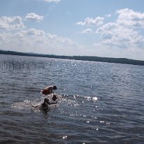 GEDC7520 GE DIGITAL CAMERA