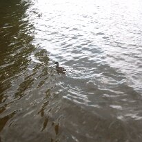 GEDC7553 GE DIGITAL CAMERA