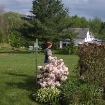 GEDC7208 GE DIGITAL CAMERA