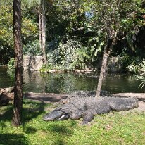 GEDC6794 GE DIGITAL CAMERA