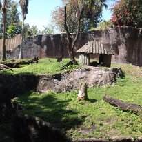 GEDC6798 GE DIGITAL CAMERA