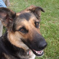 GEDC7169 GE DIGITAL CAMERA