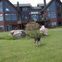 GEDC7171 GE DIGITAL CAMERA