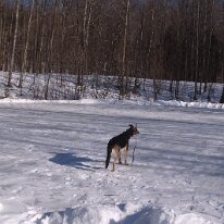 GEDC6486 GE DIGITAL CAMERA