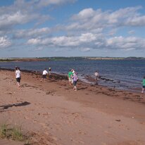 GEDC7770 GE DIGITAL CAMERA