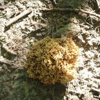 GEDC9643 GE DIGITAL CAMERA