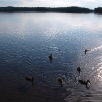 GEDC9454 GE DIGITAL CAMERA