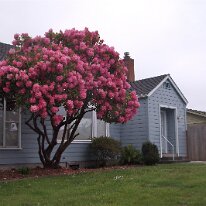 GEDC8597 GE DIGITAL CAMERA