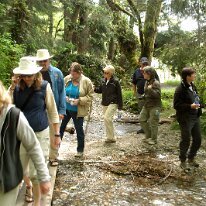 GEDC8607 GE DIGITAL CAMERA