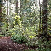 GEDC8325 GE DIGITAL CAMERA