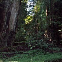 GEDC8329 GE DIGITAL CAMERA