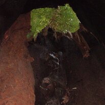 GEDC8437 GE DIGITAL CAMERA