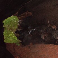 GEDC8438 GE DIGITAL CAMERA