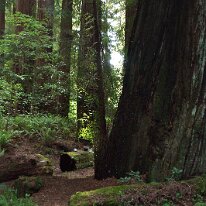 GEDC8439 GE DIGITAL CAMERA