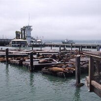 GEDC8805 GE DIGITAL CAMERA