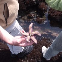 GEDC8514 GE DIGITAL CAMERA