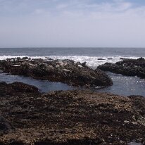 GEDC8535 GE DIGITAL CAMERA