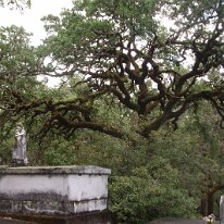 GEDC8252 GE DIGITAL CAMERA