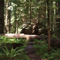 GEDC8379 GE DIGITAL CAMERA