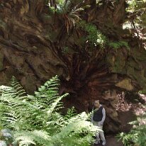 GEDC8382 GE DIGITAL CAMERA