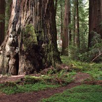 GEDC8407 GE DIGITAL CAMERA