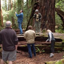 GEDC8468 GE DIGITAL CAMERA